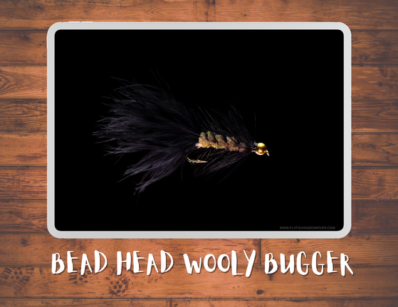 Bead Head Wooly Bugger Materials List / Episode 5 / Season 5 / Februar –  Rocky Mountain Fly Shop