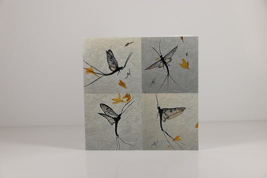 Trout Tracks Art Cards - Mayfly Life Cycle - Printed card