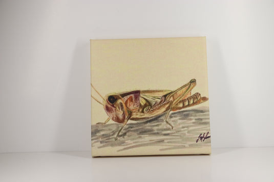 Trout Tracks Art - #14 - Grasshopper - Canvas Painting