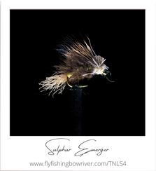 How to tie the Sulphur Emerger