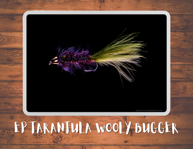 How To Tie The EP Tarantula Wooly Bugger / Episode 7 / Season 5 / February 16, 2023