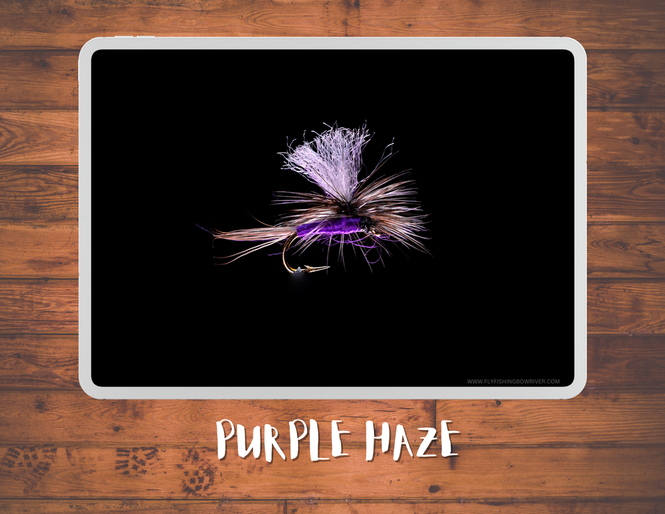 The Purple Haze Materials List / Episode #13 / Season 5 / March 30, 2023