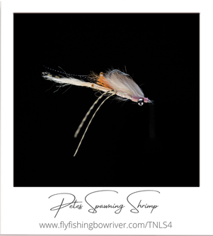 How To Tie Petes Spawning Shrimp Fly Pattern