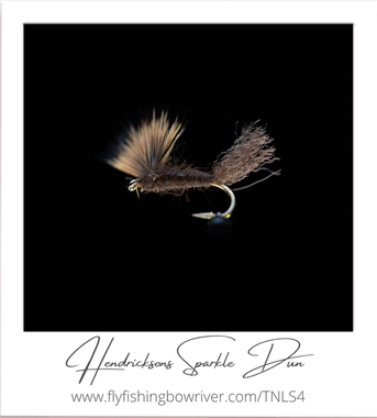 How To Tie The Hendrickson Sparkle Dun