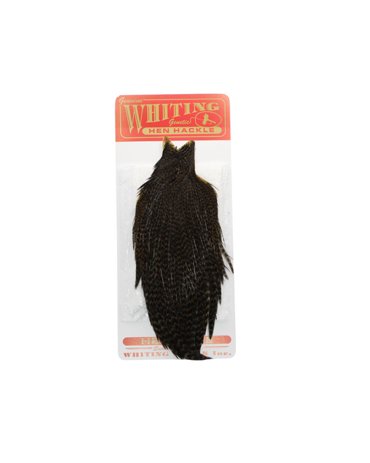 Whiting - Hen Cape