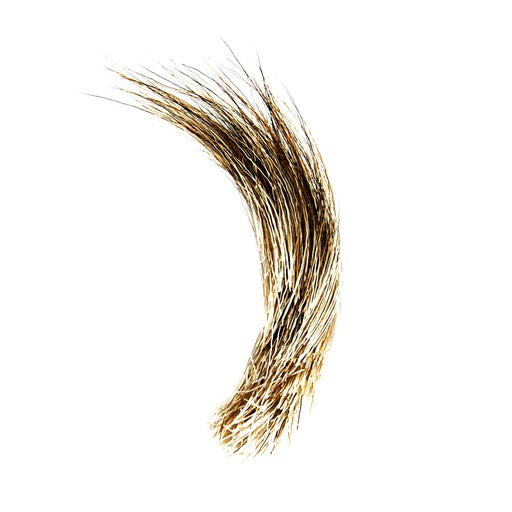 Shor - Moose Body Hair