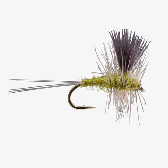 RIO - Thorax - Hook Size #16