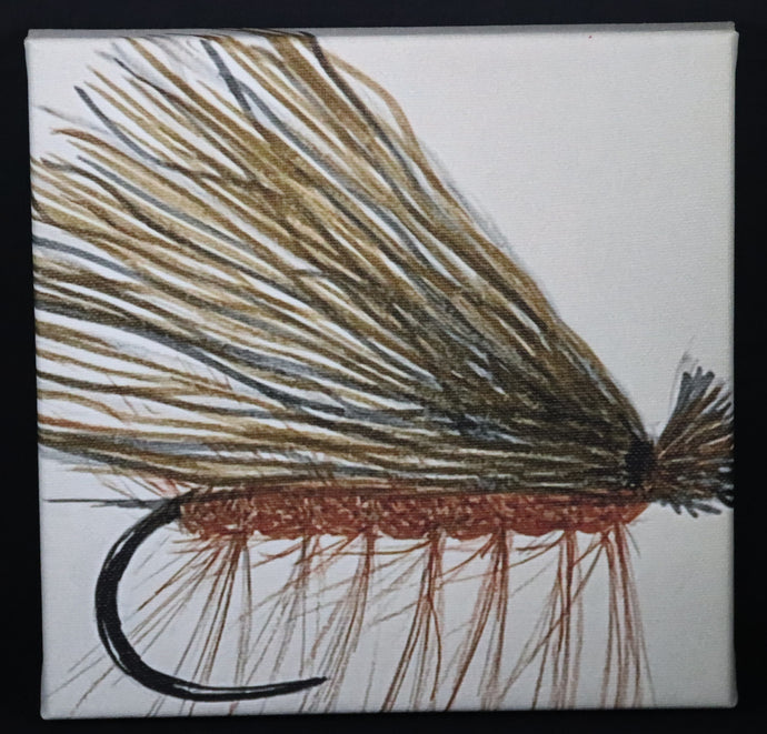 Trout tracks Art - #1 - Caddis