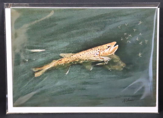 Trout tracks Art Cards - Brown Trout