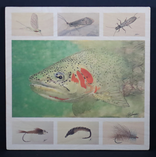 Trout Tracks Art -