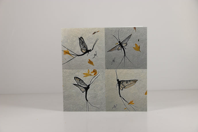 Trout Tracks Art Cards - Mayfly - Printed Card