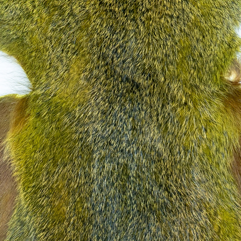 Load image into Gallery viewer, Shor - Pine Squirrel Skin
