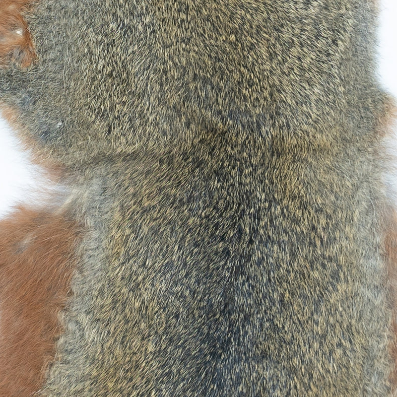 Load image into Gallery viewer, Shor - Pine Squirrel Skin
