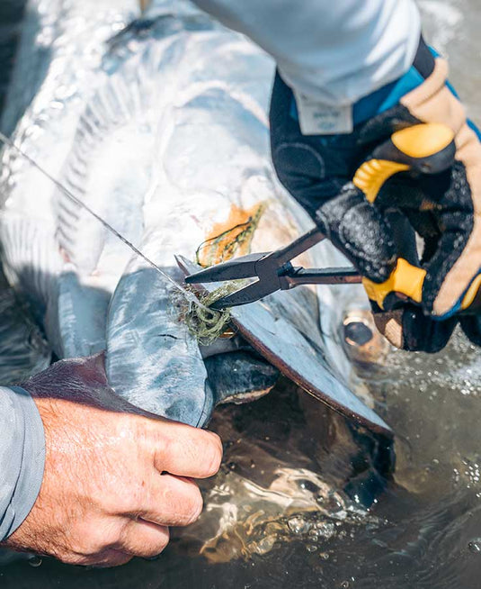 Loon - Needle Nose Pliers