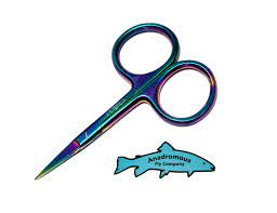 Anadromous - Arrow Point Scissors - 4 Inch - Titanium Rainbow