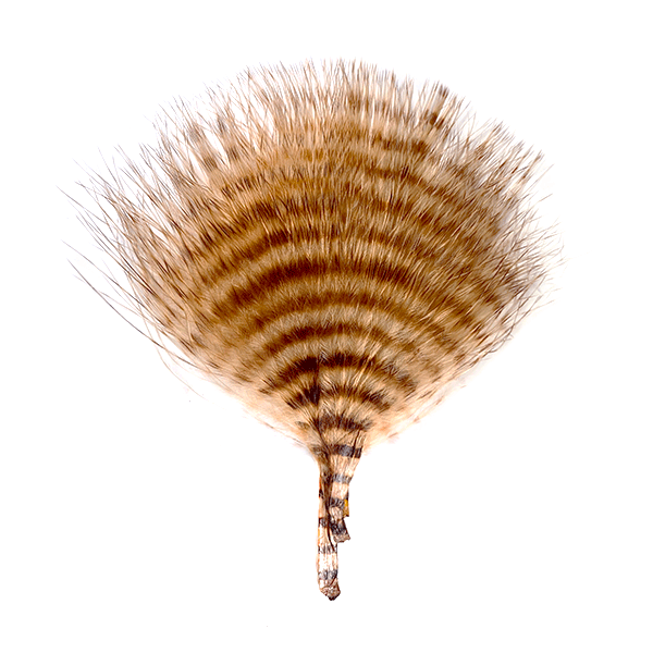 Load image into Gallery viewer, MFC - Mini Barred Marabou

