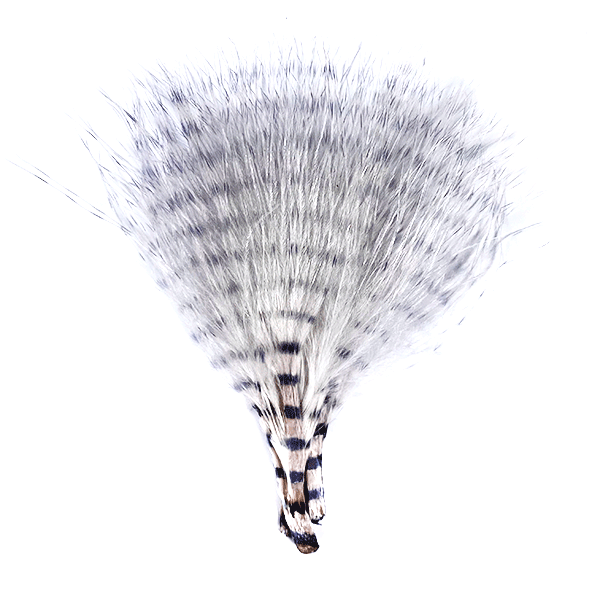 Load image into Gallery viewer, MFC - Mini Barred Marabou
