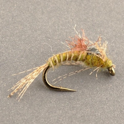 Epoxy Wing Case BWO - Hook Size #16