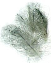 Load image into Gallery viewer, Wapsi - CDC feathers - Rocky Mountain Fly Shop
