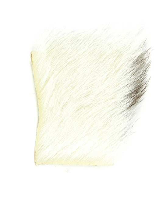 Shor - Calf Body Hair