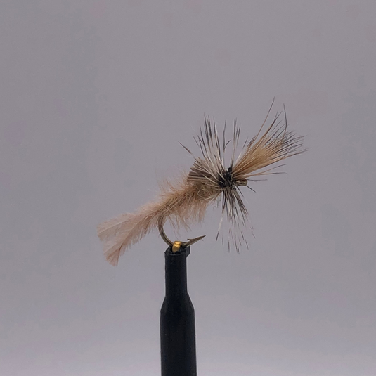 Challenged Callibaetis - Hook Size