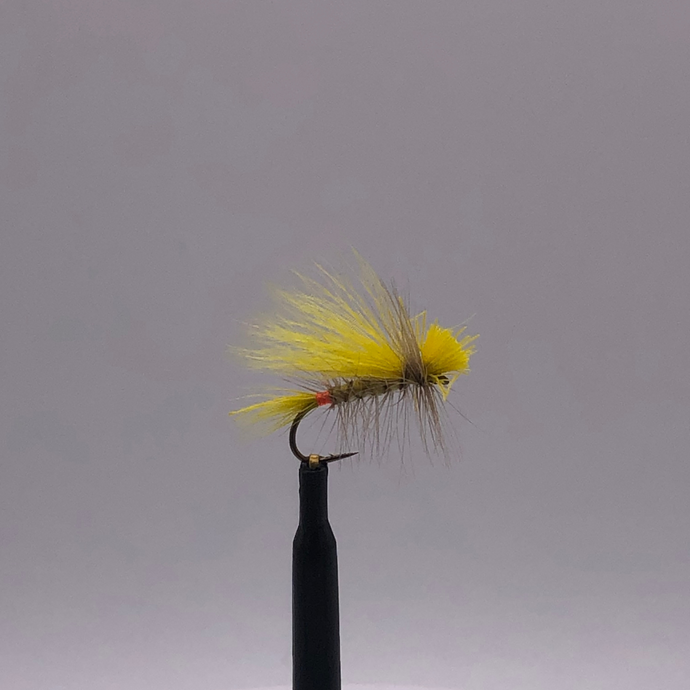 Little Yellow Sally Female - Hook Size #12