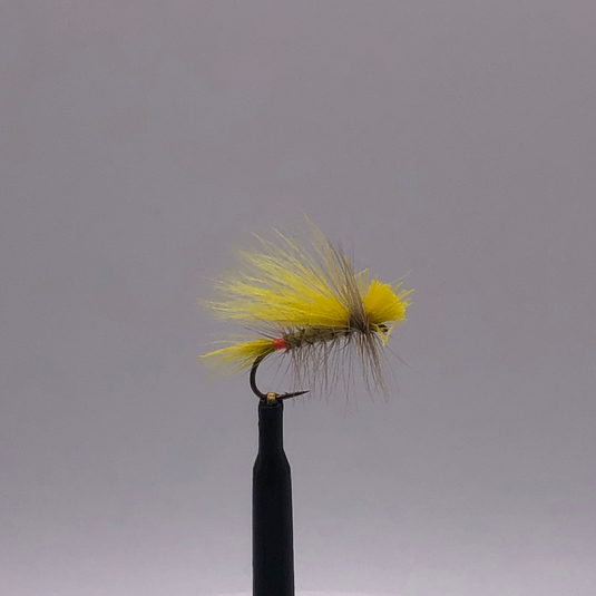 Little Yellow Sally Female - Hook Size