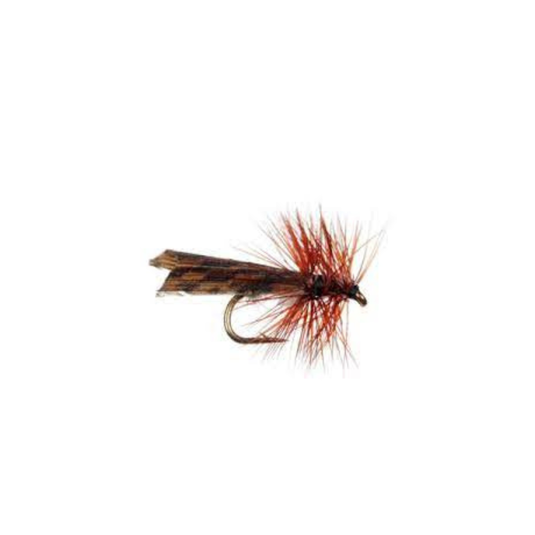 Kings River Caddis – Rocky Mountain Fly Shop