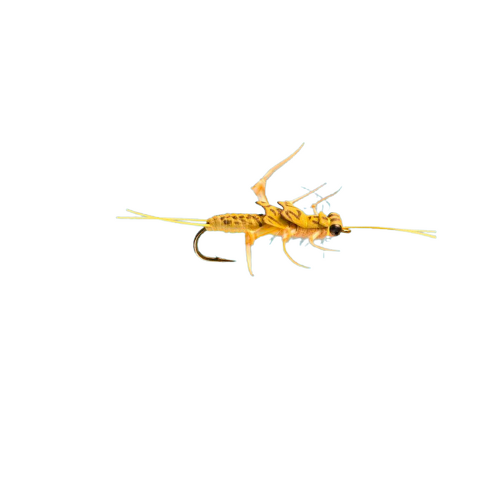 Realistic Golden Stonefly Nymph
