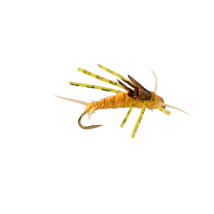 Beadhead Stonefly Rubber Leg - GOLDEN - Hook Size #8