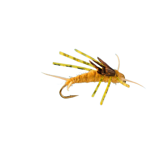 Beadhead Stonefly Rubber Leg - GOLDEN - Hook Size