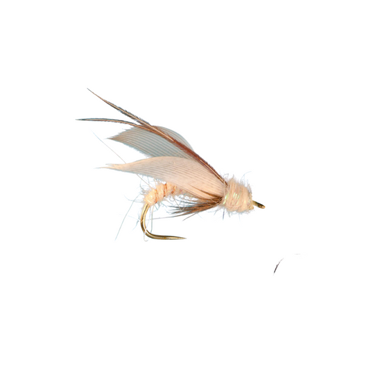 Caddis Pupa - CREAM - Hook Size